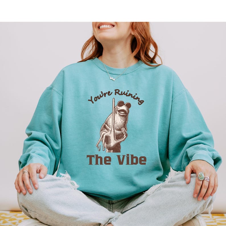 May include: A teal sweatshirt with the phrase "You're Ruining The Vibe" and a cartoon frog wearing sunglasses. The frog is holding a pole. The sweatshirt has long sleeves and a crew neck.