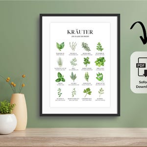 Kräuter Poster Küche zum Ausdrucken A3 | Printable Herb Chart | Küchenbild Wanddeko | PDF Download | Auch als Geschenk | Kräuterübersicht