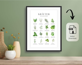 Op de afbeelding: Een ingelijste print met een botanische illustratie van verschillende kruiden, met hun namen in het Duits. De print zit in een zwart frame en bevat een PDF-downloadpictogram. De achtergrond is lichtgroen.