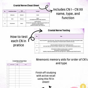 May include: A purple and white cranial nerve cheat sheet with tables, diagrams, and text. Includes CN I-XII names, types, and functions, testing instructions, and mnemonic aids. A fill-in sheet is also included.