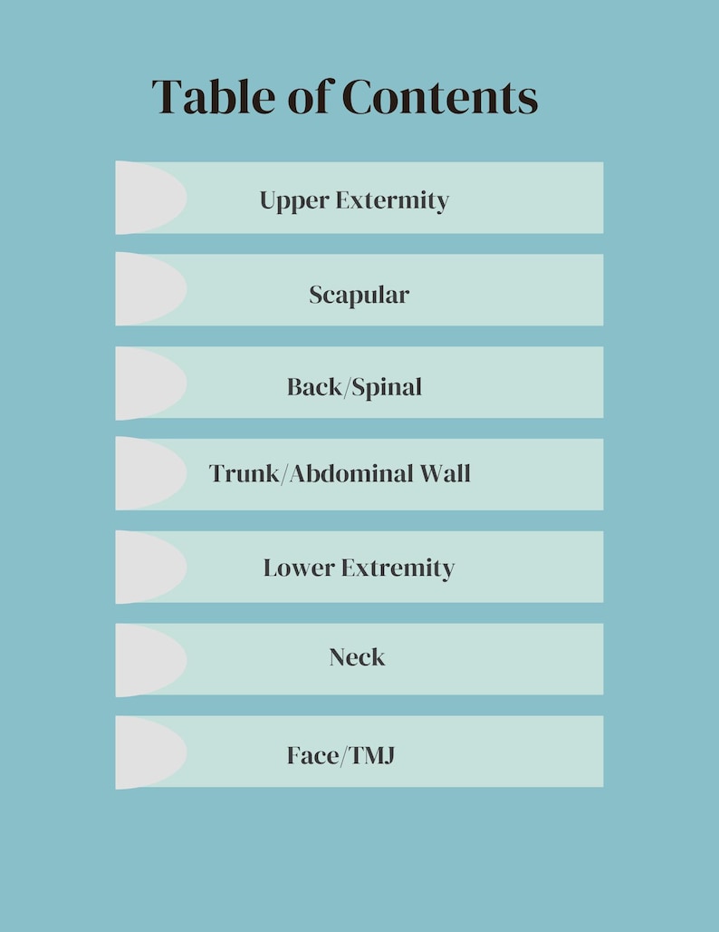 Muscle Anatomy Chart: Origin, Insertion, Action, Innervation (printable ...