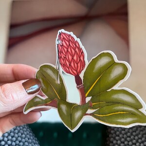 Pegatina de planta goteante