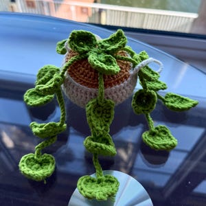 Handmade Plant Plushie | Mini Crochet Gift | Custom Gift | Desk Decor | Car Accessory | Housewarming Gift