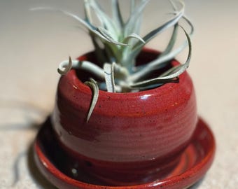 Handmade Succulent Planter Pot