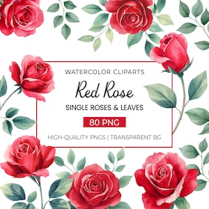 80 imágenes prediseñadas premium de rosas rojas en acuarela / Flor individual y hojas / Uso comercial / Elementos florales para bricolaje, invitaciones, logotipos y álbumes de recortes