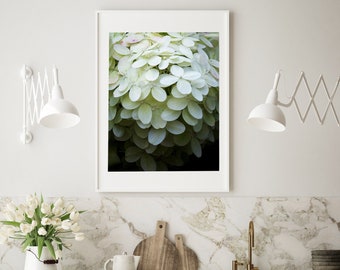 Hydrangea Photography, Floral Macro Print, Spring Flowers Art Print, Botanical Photo, Country Modern Decor, Neutral Wall Art, Pale Green Art