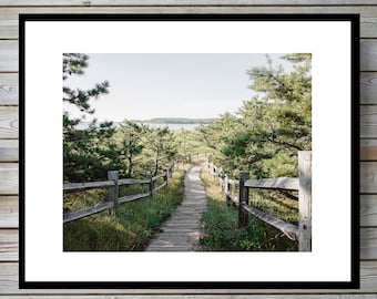 Cape Cod Photography, Nautical Art, Coastal Print, Blue Gray Green, Large Wall Art, Trail Print, Summer Decor