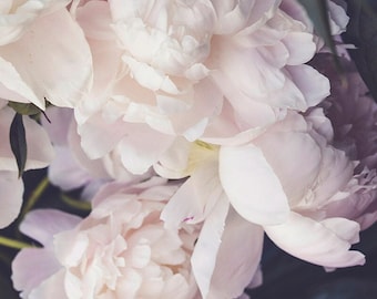 Pink Peony Print, Peonies, Peony Photography, Pink Petals Photo, Floral Decor, Pastel Flower Photo, Botanical Photo