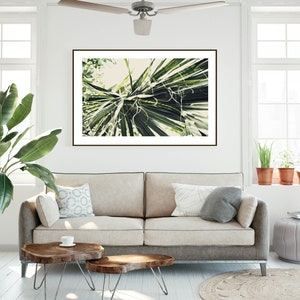 Palm Leaves Photo, Coastal Home Decor, Tropical Decor, Beach Photography, Large Wall Art, Nature Print