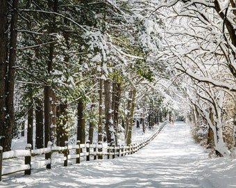 Country Road Snow Scene, Winter Snow Photography, Winter Modern Country Art, Wooded Country Snow Scene Print