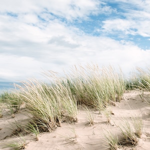 Lake Michigan Dunes Photo, Summer House Print, Coastal Home Decorating, Large Coastal Wall Art, Beach Scene Print, Beach Home Decor