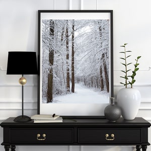 Winter Scene Print, Forest in Snow Print, Snow Covered Woods Photo, Winter Home Decor, Winter Forest Print