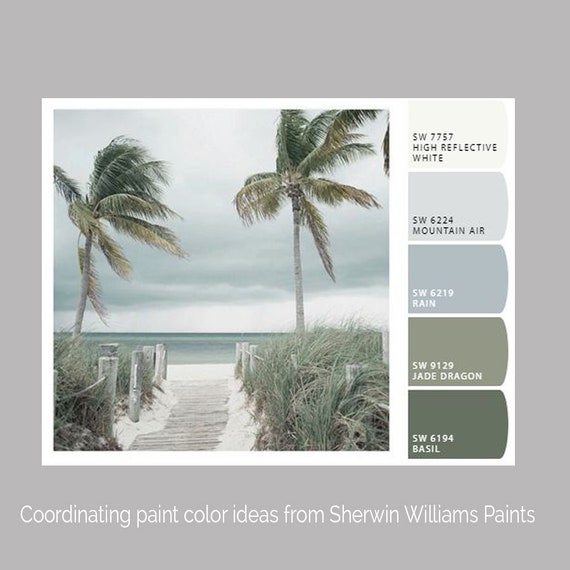 Strand Palmen Baume Foto Kusten Wohnkultur Landschaft Etsy