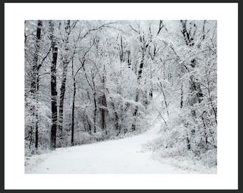 Winter Scene Art Print, Home Decor Holiday Wall Art, Snow Scene Art, Black and White Winter Decor Photography