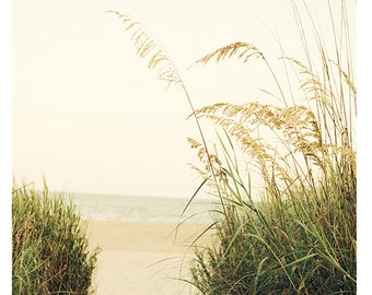 May include: A view of a sandy beach through a path of tall green grasses with brown seed heads.