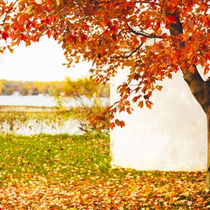 Fall Photography print, Autumn Leaves Art, Fall by The Lake, Autumn Photograph, Fall Color Art