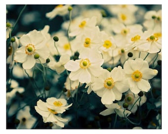 Dreamy, Nature Photography, Fine Art Photography, Vintage Look, Wall Art, Flowers, "Walk in the Park" Soft Yellow, Teal, Fall Garden,