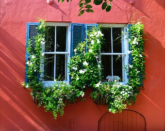 Art, Photography, City Photography, Window Boxes, Charleston, Wall Art, Fine Art Photo, Home Decor, 5x5 and larger fine art print