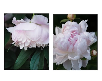 Rosa Pfingstrosen Druck Set, Schlafzimmer Dekor, Foto Set von 2 Pfingstrosen Floral Home Dekor, Botanische Kunstdrucke, Eingang Dekor