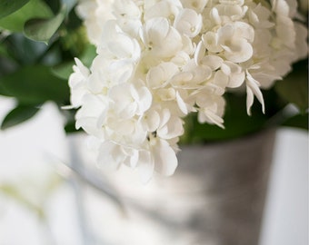 White Hydrangea Print, Floral Wall Art, Botanical Photo, Large Wall Poster, Fresh Flowers Art, Art For Her, Cottage Home Decor, Still Life