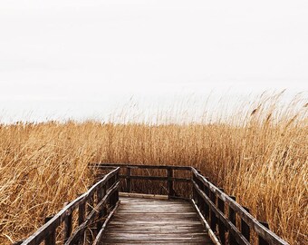 Coastal Boardwalk II, Fall Wall Art, Nautical Photography Print, Neutral Home Decor Art, Beach Print, Cindy Taylor Photography, Fine Art