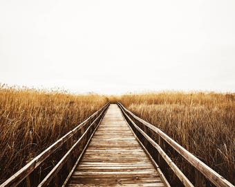 Coastal Boardwalk III, Fall Wall Art, Nautical Photography Print, Neutral Home Decor Art, Beach Print, Cindy Taylor Photography, Fine Art