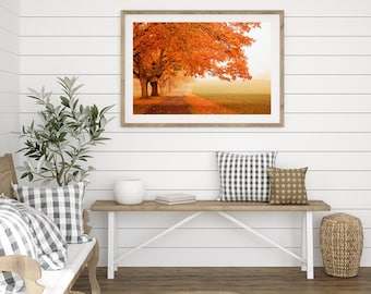 May include: A framed photograph of a row of trees with orange leaves in a misty field. The photo is hanging on a white shiplap wall above a wooden bench with cushions and a wicker basket.