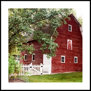 Red Barn Photo, Farmhouse Print, Cindy Taylor Print, Country Wall Art, Farmhouse Art, Rustic Decor, Urban Farmhouse, Rustic Wall Art