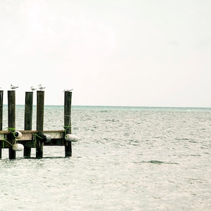 coastal photo, birds sea sky print, beach photography, nautical decorating, coastal home decor, pier photo