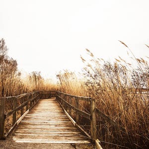 Coastal Boardwalk, Fall Wall Art, Nautical Photography Print, Neutral Home Decor Art, Beach Print, Cindy Taylor Photography, Fine Art Print image 1