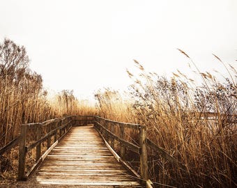 Coastal Boardwalk, Fall Wall Art, Nautical Photography Print, Neutral Home Decor Art, Beach Print, Cindy Taylor Photography, Fine Art Print