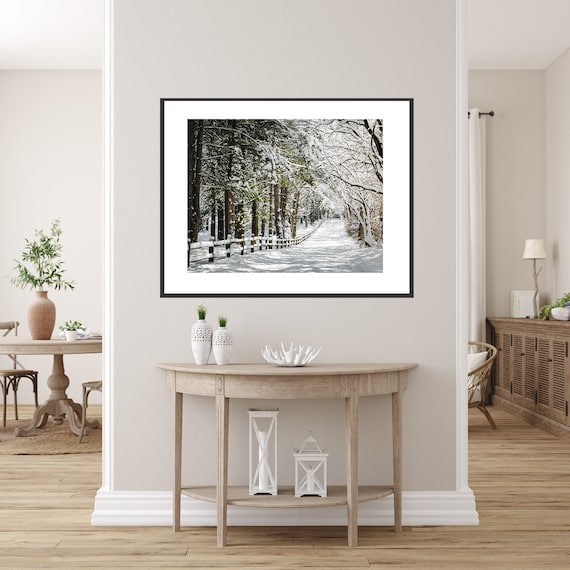 Wooded Winter – Collection Prints