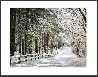 Country Road Snow Scene, Winter Snow Photography, Winter Modern Country Art, Wooded Country Snow Scene Print
