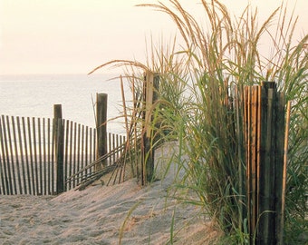 Coastal Dunes Photo, Beach, Home Decor,  Dawn, Beach Grass, Sand, Sea, Photography Print