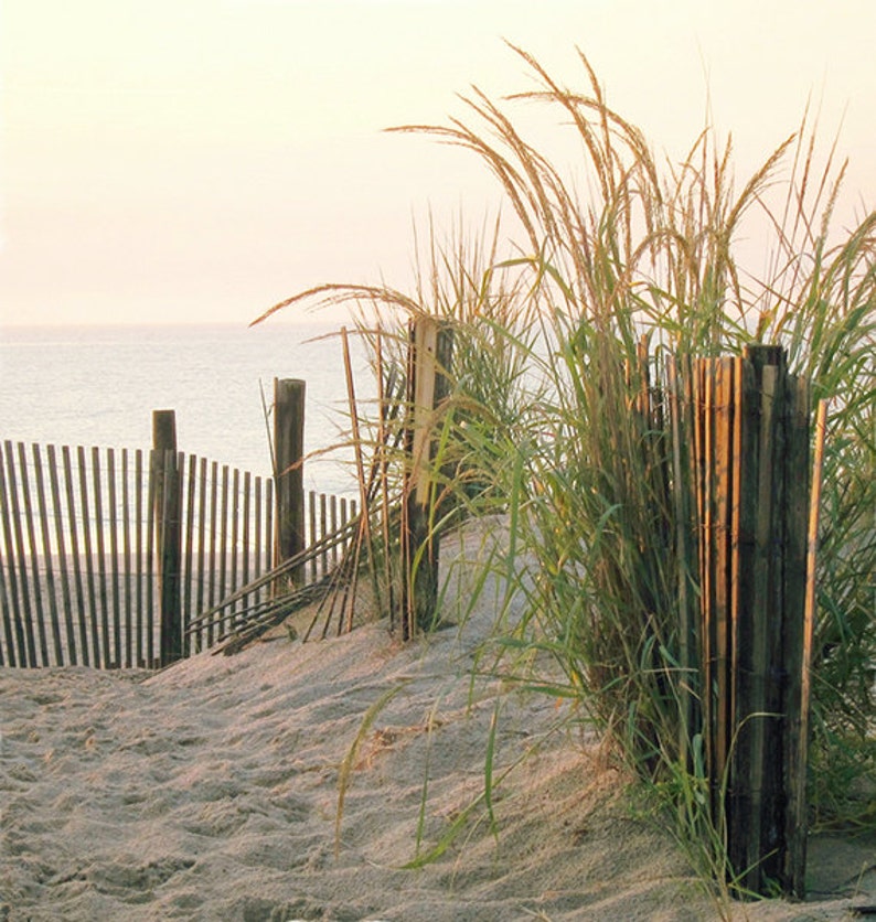 Coastal Dunes Photo, Beach, Home Decor, Dawn, Beach Grass, Sand, Sea, Photography Print image 1