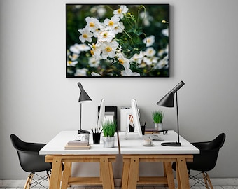 White Flowers Photography, Garden Photo, Large Wall Art, Botanical Wall Art, Floral Photography