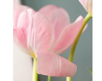 Pink Floral Wall Art, Tulip Photography Print, Girls Room Decor, Nursery Decor, Pastel Color Wall Art, Flower Print, Garden Flower Art