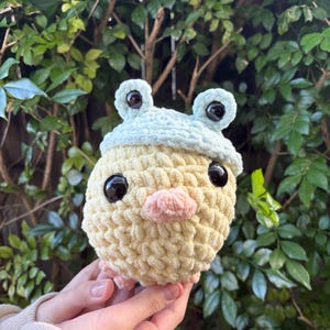 Amigurumi Ducky with Froggy Hat