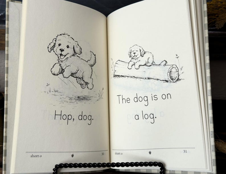 Libros de lectura decodificables de fonética para jardín de infancia / Libro CVC sobre la ciencia de la lectura / Currículo de educación en el hogar sobre vocales cortas / Libro infantil clásico / Impreso imagen 5