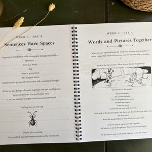 May include: A spiral-bound educational workbook open to two pages. The left page is titled Week 4 Day 3 Sentences Have Spaces, explaining sentence structure with a bug illustration. The right page is titled Week 4 Day 4 Words and Pictures Together.