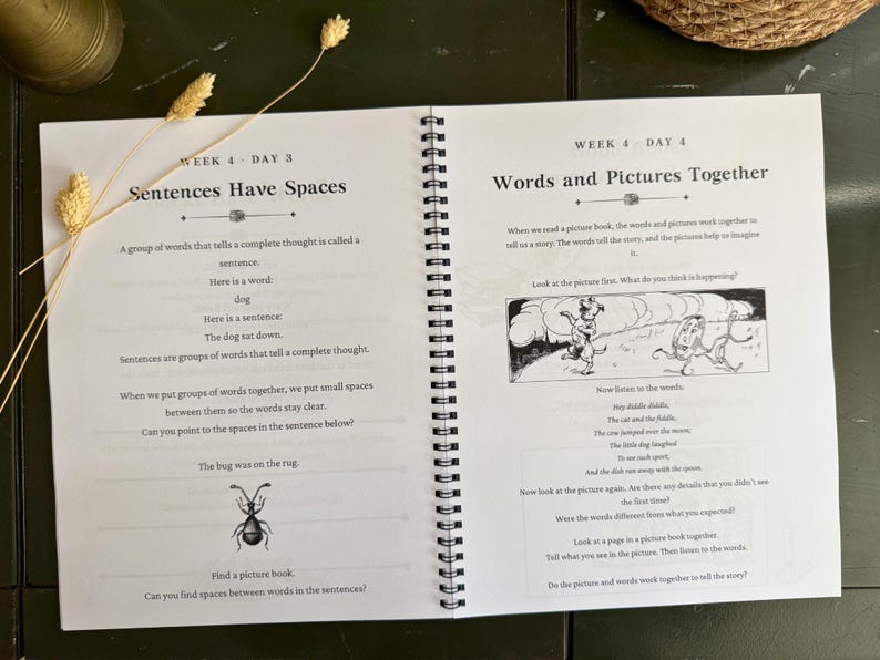 May include: A spiral-bound educational workbook open to two pages. The left page is titled Week 4 Day 3 Sentences Have Spaces, explaining sentence structure with a bug illustration. The right page is titled Week 4 Day 4 Words and Pictures Together.