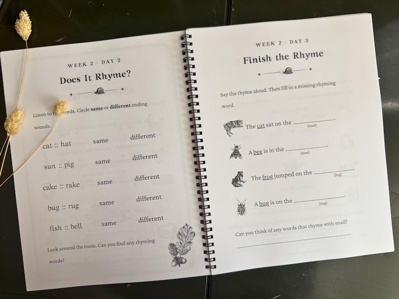 May include: A spiral-bound educational workbook open to two pages. The left page is titled Week 2 Day 2 Does It Rhyme? with word pairs to compare. The right page is titled Week 2 Day 3 Finish the Rhyme with fill-in-the-blank sentences and illustrations.