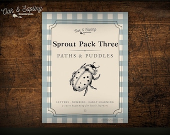 May include: A homeschool learning pack titled "Sprout Pack Three: Paths & Puddles" with a ladybug illustration. The cover features a light blue gingham border and text that reads "Letters, Numbers, Early Learning, a sweet beginning for little learners."