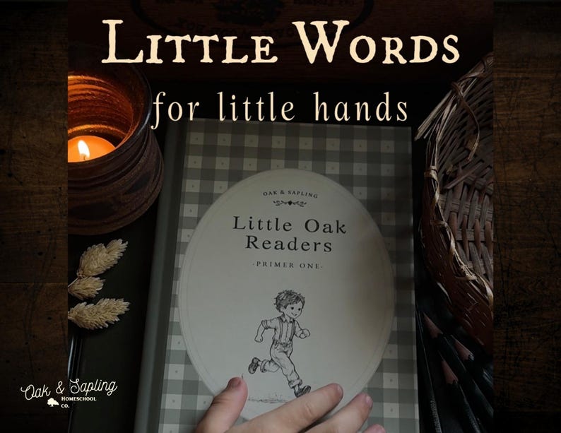 Libros de lectura decodificables de fonética para jardín de infancia / Libro CVC sobre la ciencia de la lectura / Currículo de educación en el hogar sobre vocales cortas / Libro infantil clásico / Impreso imagen 9