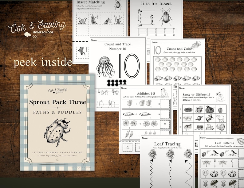 May include: A collection of educational worksheets for early learning, featuring insect matching, counting, and tracing activities. The Sprout Pack Three, titled "Paths & Puddles," includes pages for letters, numbers, and early learning. The worksheets are printed in black and white.