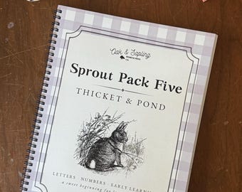 Preschool Homeschool Curriculum | Letter Practice, Tracing, Cutting, Patterns, Counting, Early Literacy Activities | PRINTED Sprout Pack 5