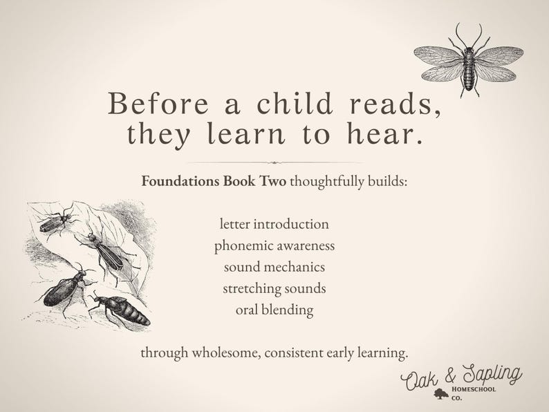 May include: A beige educational poster featuring the text Before a child reads, they learn to hear. Foundations Book Two thoughtfully builds: letter introduction, phonemic awareness, sound mechanics, stretching sounds, oral blending through wholesome, consistent early learning. Includes black and white insect illustrations and the Oak & Sapling Homeschool Co. logo.