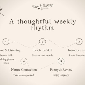 May include: A beige educational chart titled A thoughtful weekly rhythm by Oak & Sapling Homeschool Co. featuring a dragonfly illustration and a five-step process: 1 Welcome & Listening, 2 Teach the Skill, 3 Introduce Symbols, 4 Nature Connection, and 5 Poetry & Review.