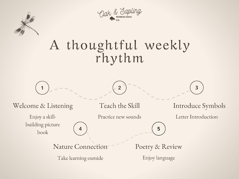May include: A beige educational chart titled A thoughtful weekly rhythm by Oak & Sapling Homeschool Co. featuring a dragonfly illustration and a five-step process: 1 Welcome & Listening, 2 Teach the Skill, 3 Introduce Symbols, 4 Nature Connection, and 5 Poetry & Review.