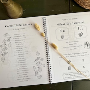 Letter Sounds Homeschool Curriculum, Foundations 1-5 Bundle, Christian Kindergarten Phonics, Science of Reading Early Literacy PRINTED image 15